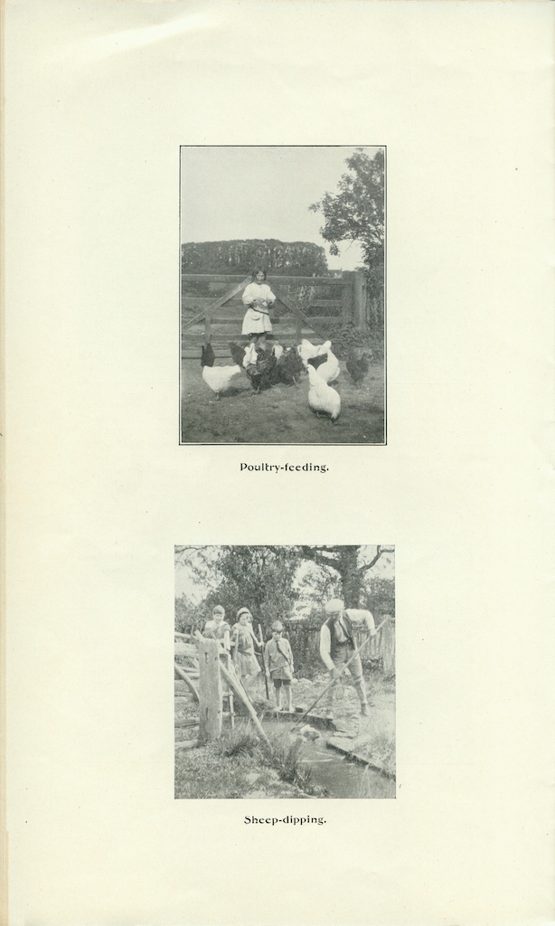 New Foundations, 1921, between pages 12 and 13, right