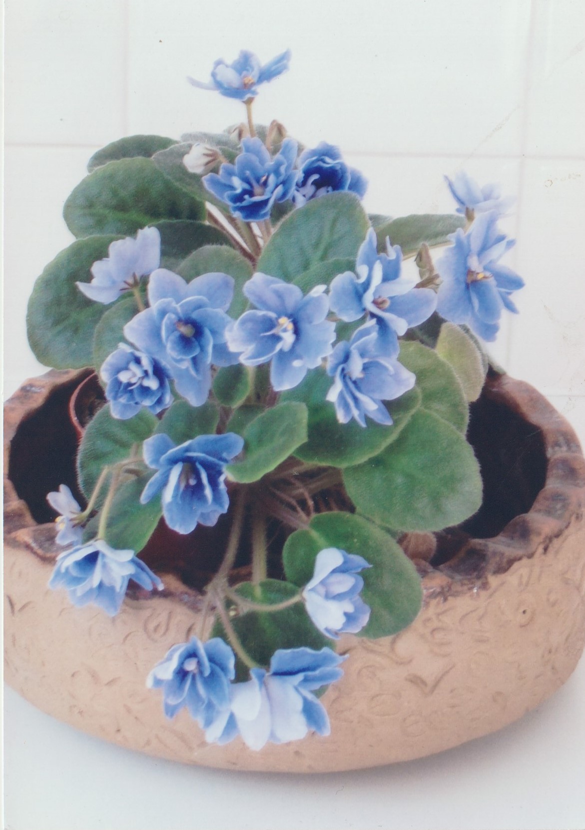 ill 02 rayment 2013.09.06 pottery